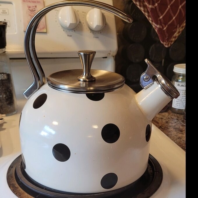 black and white polka dot kate spade kettle