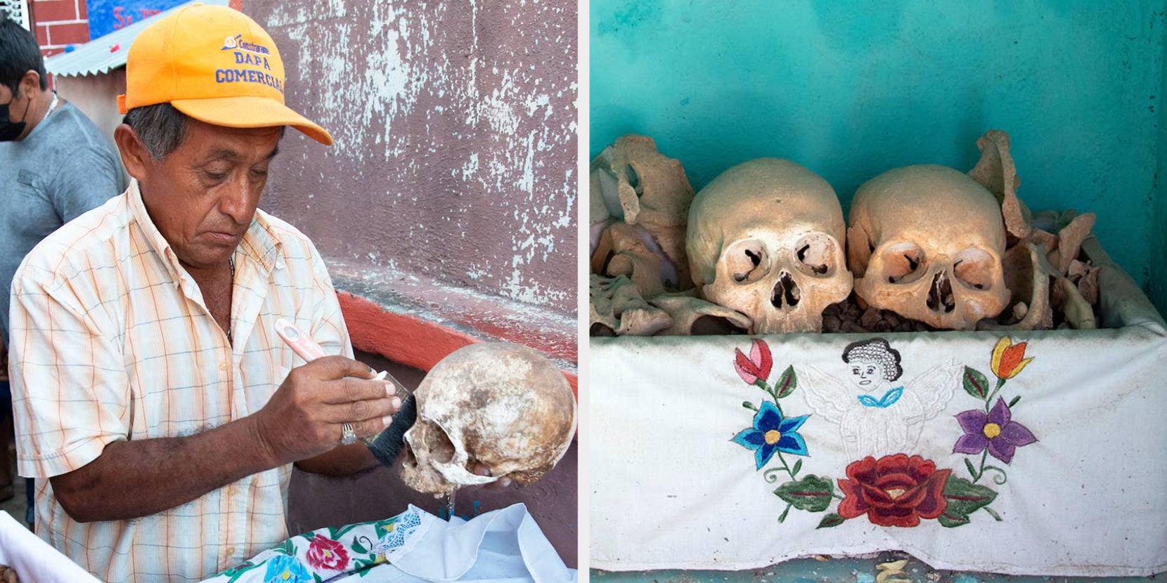 The Fascinating Art Of Mexico's Bone-Cleaning Culture - Vimarsana News