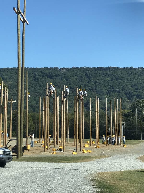 People wearing helmets and perched at the tops of tall, thin poles in the ground
