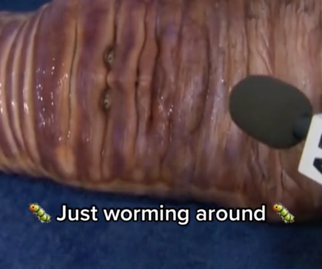 I Cannot Stop Watching The Videos Of Heidi Klum Moving Around As A Giant Worm - 44