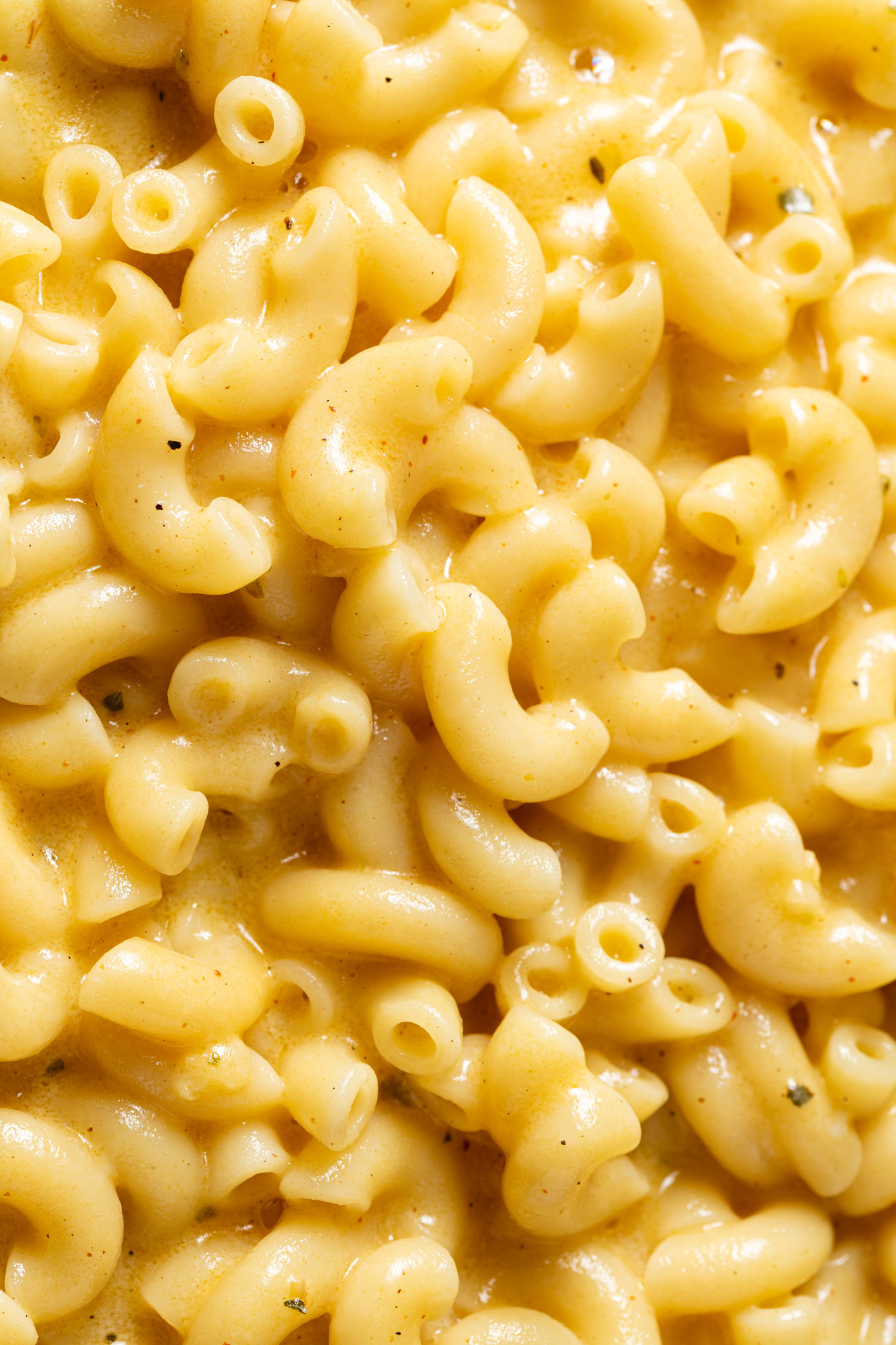 A close-up of mac &#x27;n&#x27; cheese.