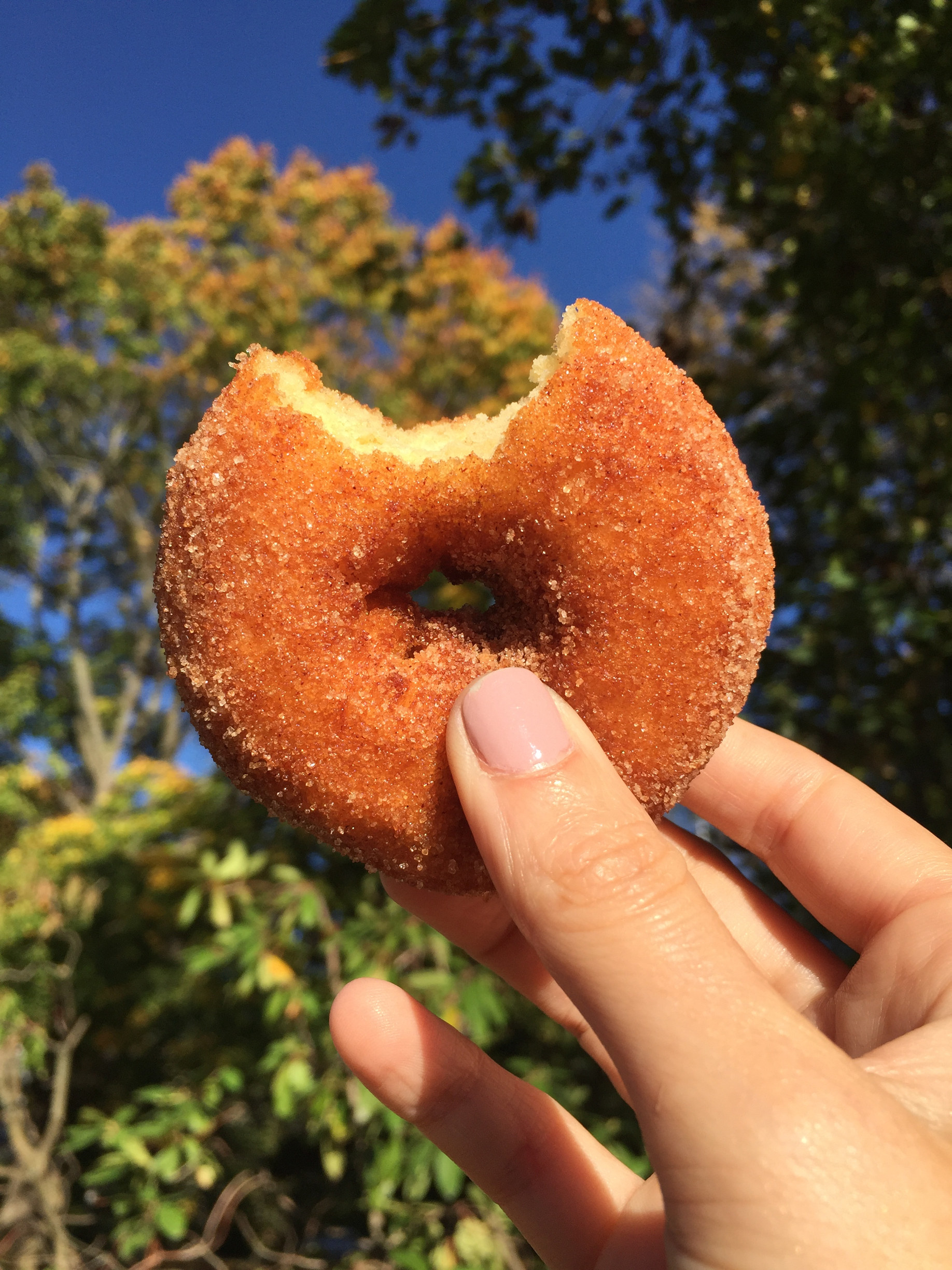 An apple cider donut with a bite taken from it.