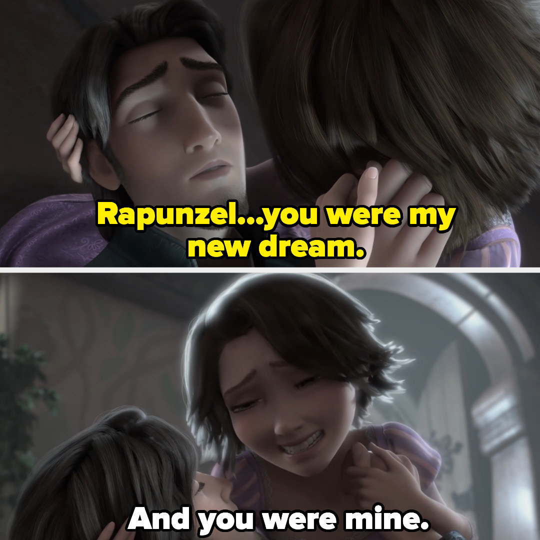 &quot;Rapunzel...you were my new dream.&quot;