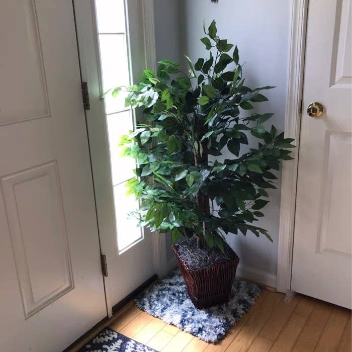 Reviewer's photo of the faux ficus tree