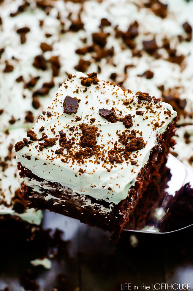 thin mint chocolate poke cake