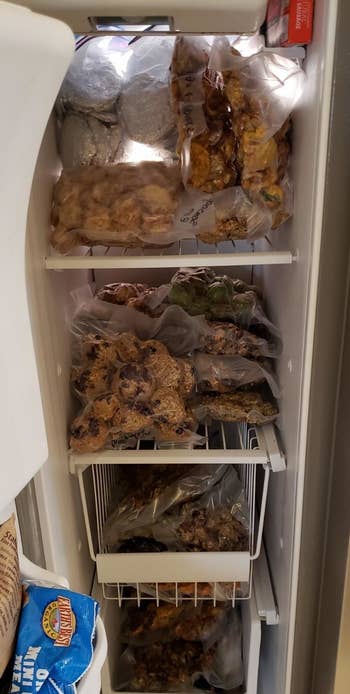 reviewer's stocked freezer with vacuum-sealed food inside