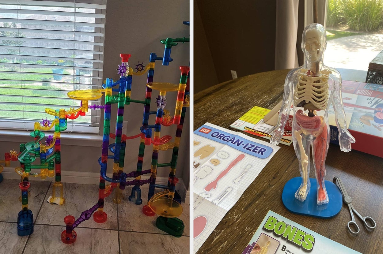 on left, colorful marble run set. on right, Smart Lab human body toy