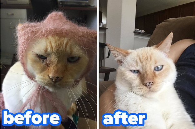 a before and after photo for a tear comb