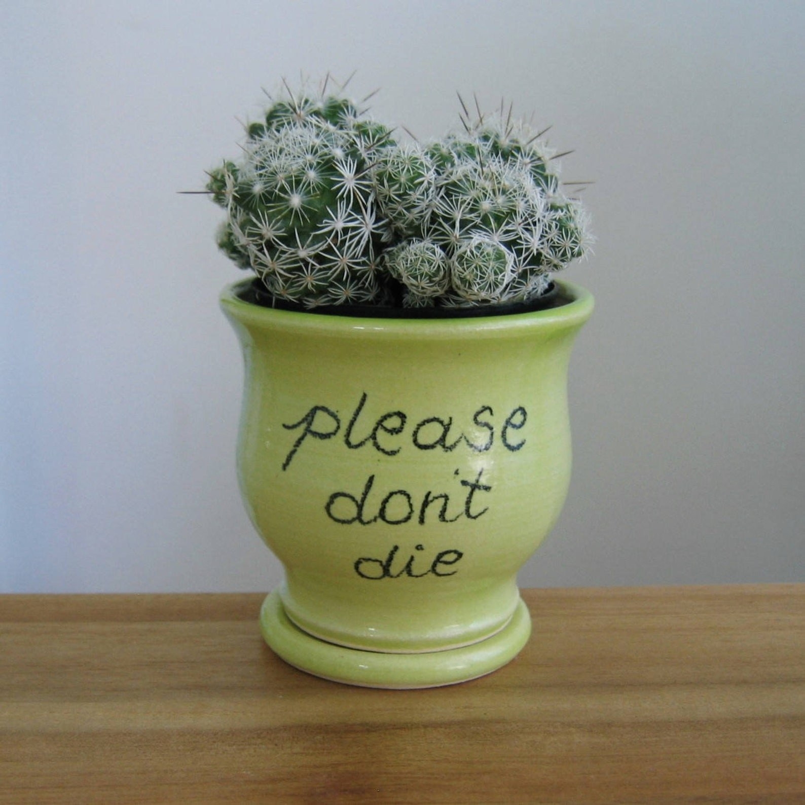 The green mini planter with &quot;please don&#x27;t die&quot; written on the front with a succulent inside