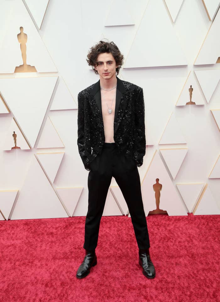 Timothée Chalamet on the red carpet