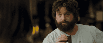 Zach Galifianakis as Ethan Chase in &quot;Due Date&quot; saying &quot;That&#x27;ll work&quot;