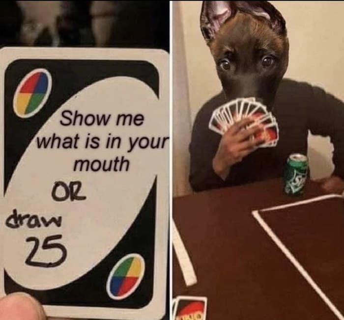 A dog playing cards