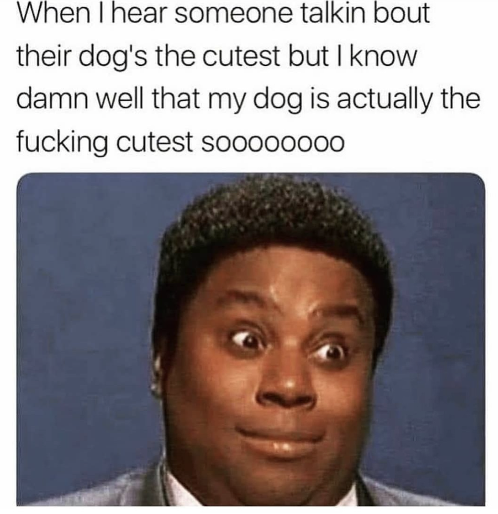 Memes About Having A Dog That I Can't Help But Belly Laugh At