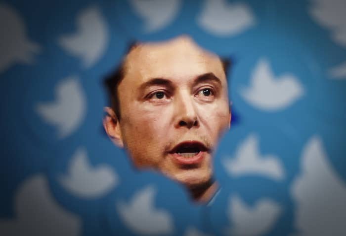 twitter logos encircling Elon Musk&#x27;s head