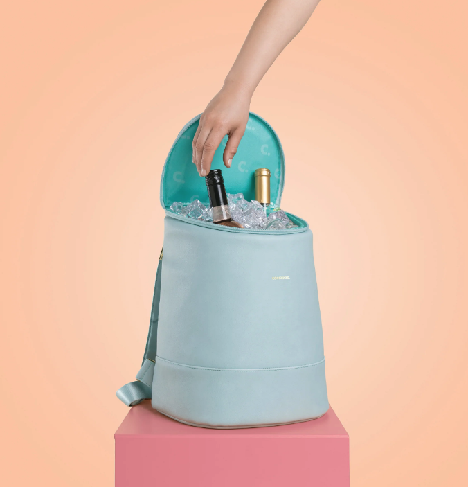 a light blue cooler bag filled with ice and two bottles of wine
