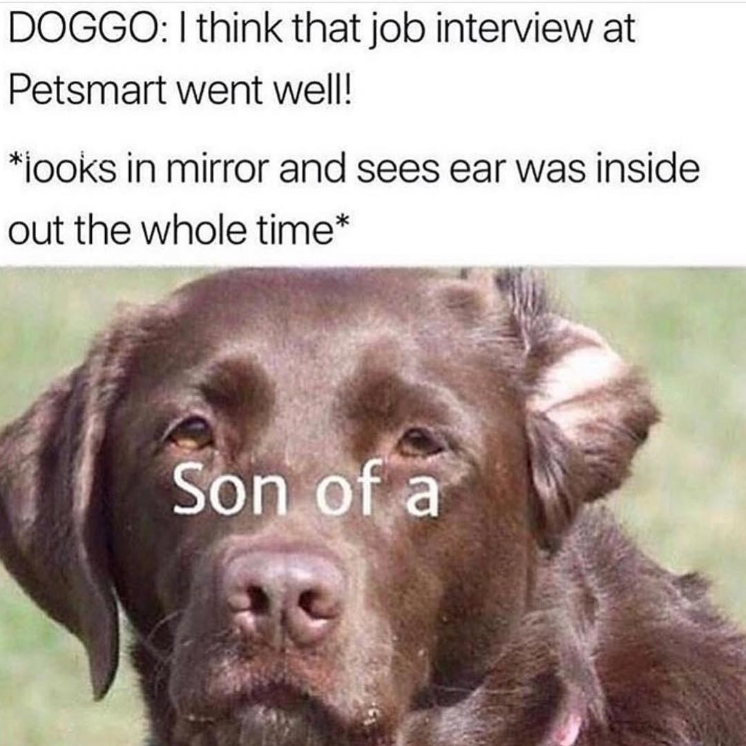 &quot;son of a&quot;