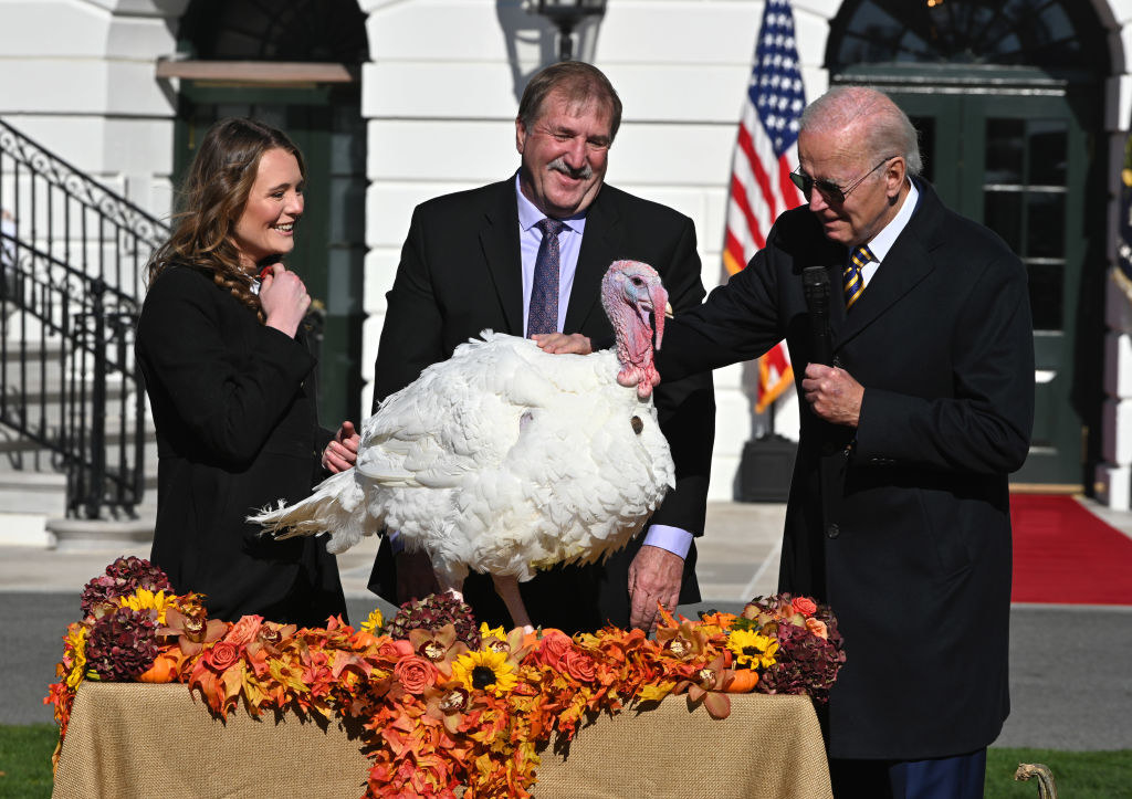 president biden petting a turkey