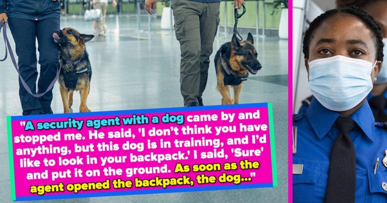 23 Worst Tsa Experiences People Had At The Airport 23 Worst Tsa Experiences People Had At The Airport