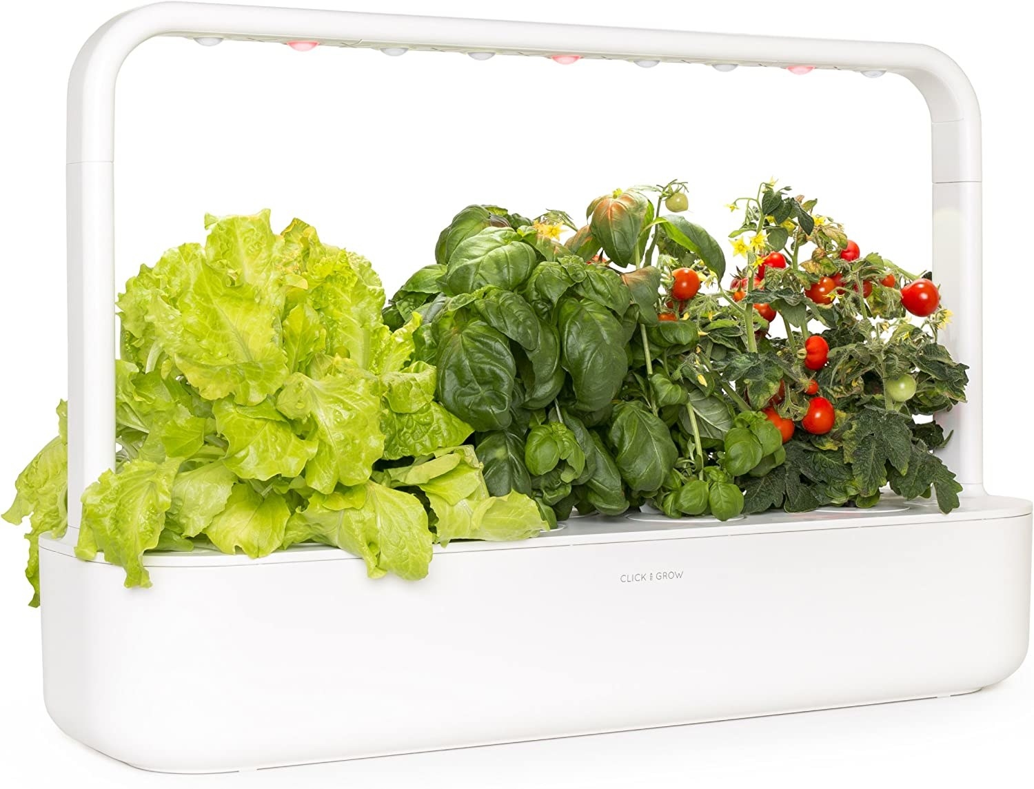 A white rectangular basin with herbs growing out of it. There is a grow light that attaches at either side and sits above