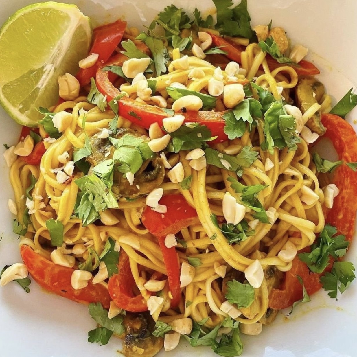 plate of fresh pasta dish with bell pepper, peanuts and cilantro in sauce