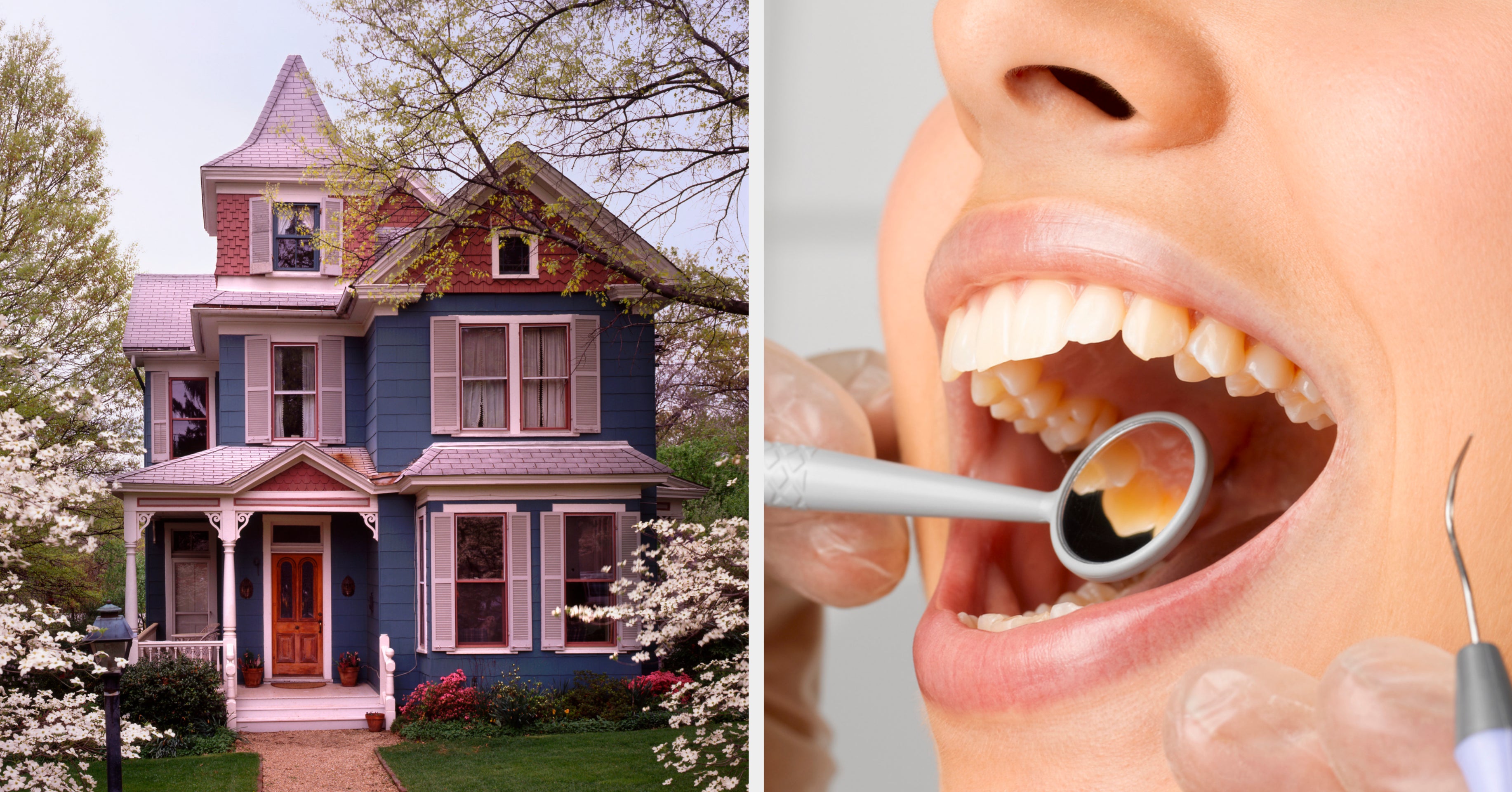 Want Me To Reveal Your Future Job? Build A House From Scratch To Find Out
