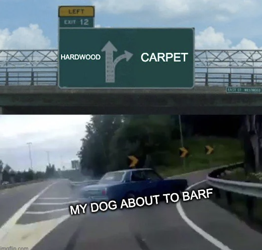 &quot;My dog about to barf&quot;