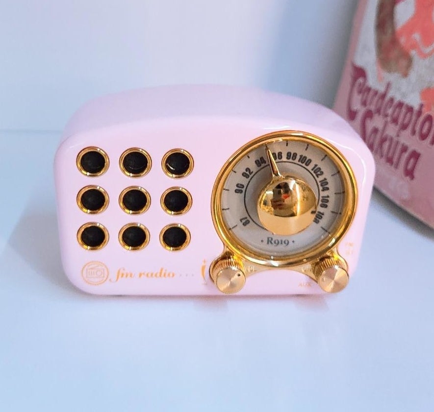 Reviewer image of pink speaker on a shelf