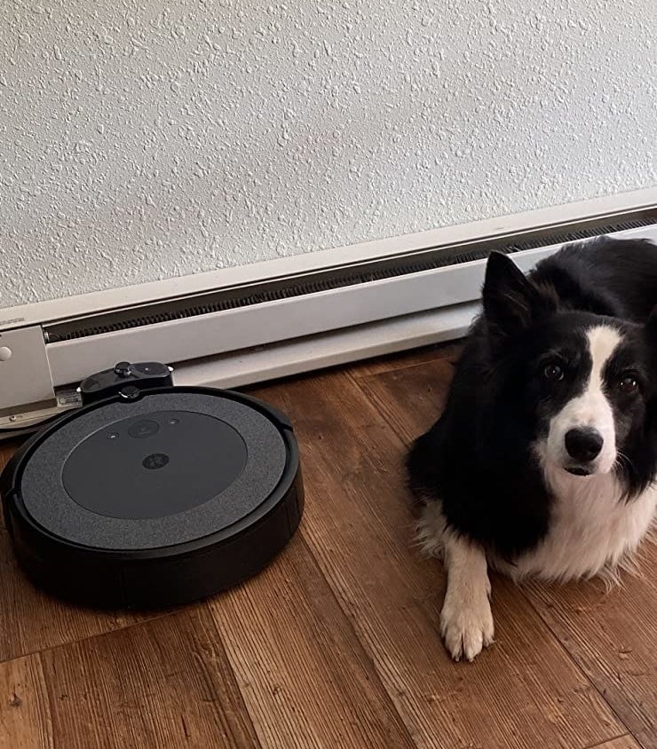 dog standing next to circle shaped vacuum cleaner
