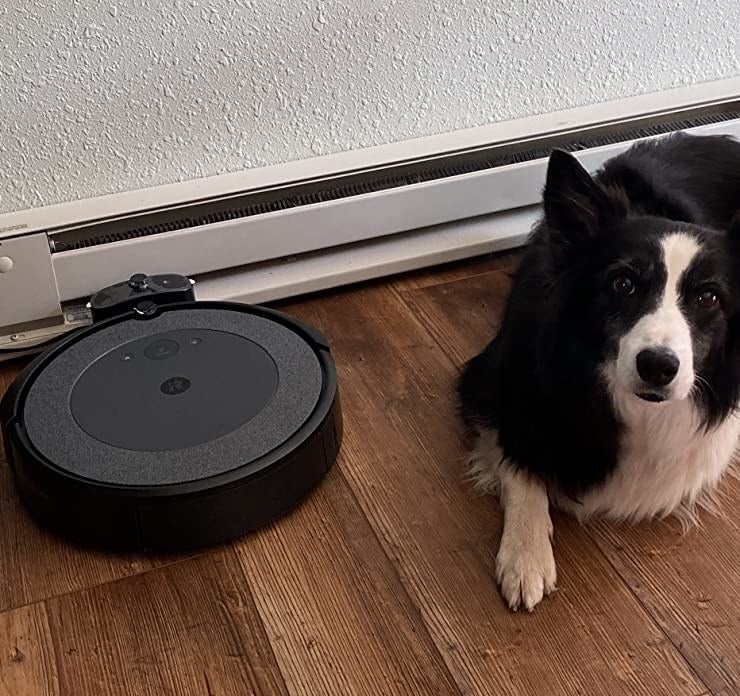 Dog standing next to black circular vacuum