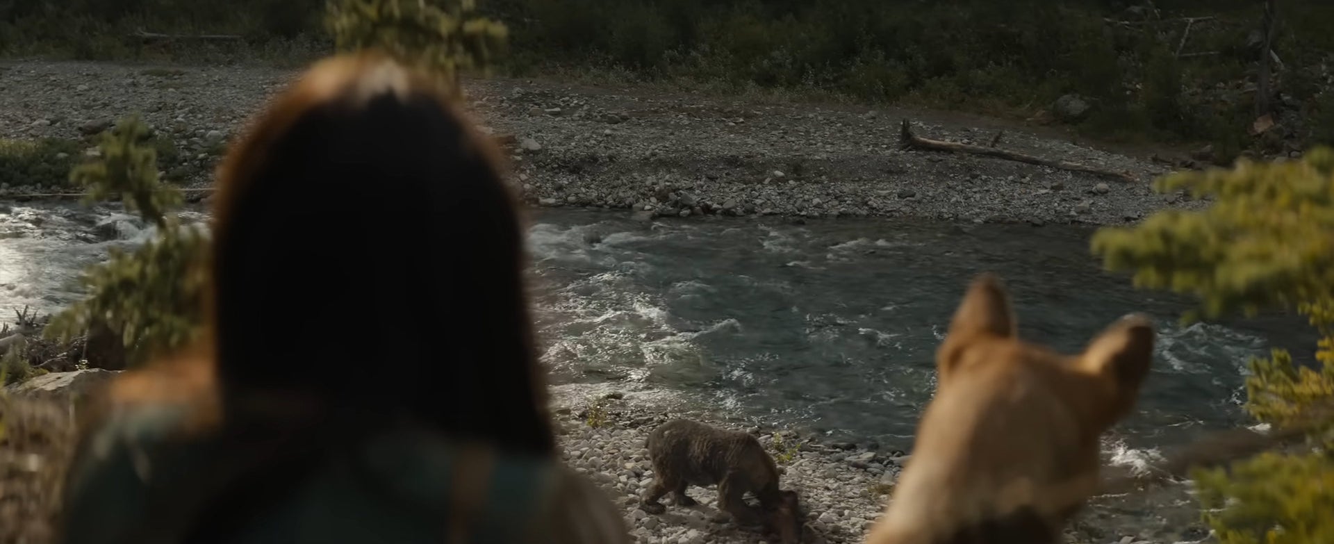 watching a bear by the river in &quot;prey&quot;
