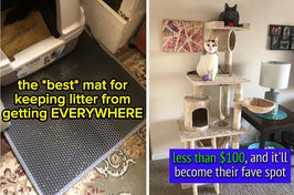 Take it from me: When you're surrounded by cats everywhere you look, these things can really come in handy.