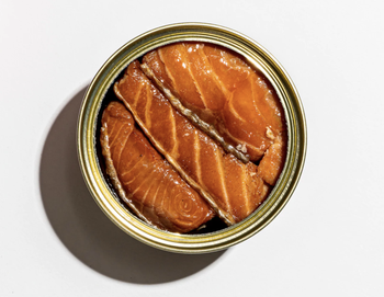 the salmon in its tin