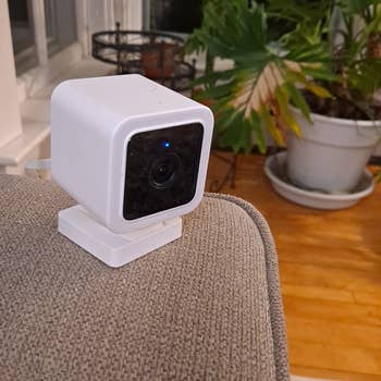 reviewer's Wyze camera