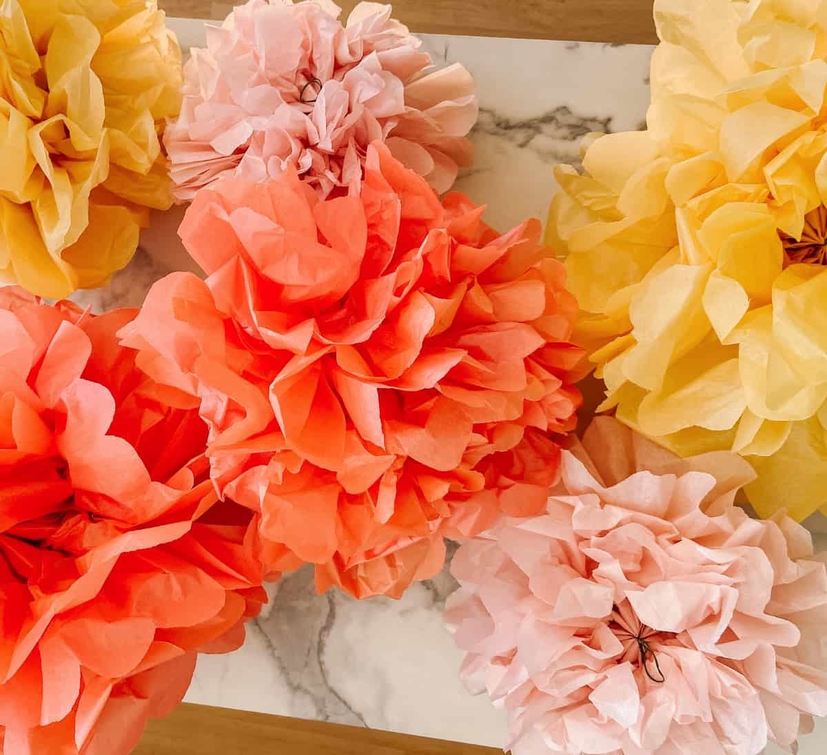 colorful pom poms made of tissue paper