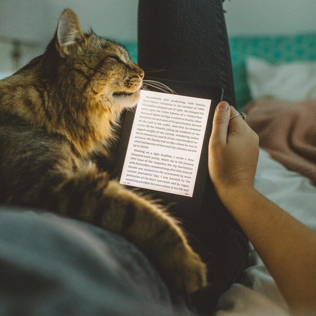 a person holding a kindle next to a cat