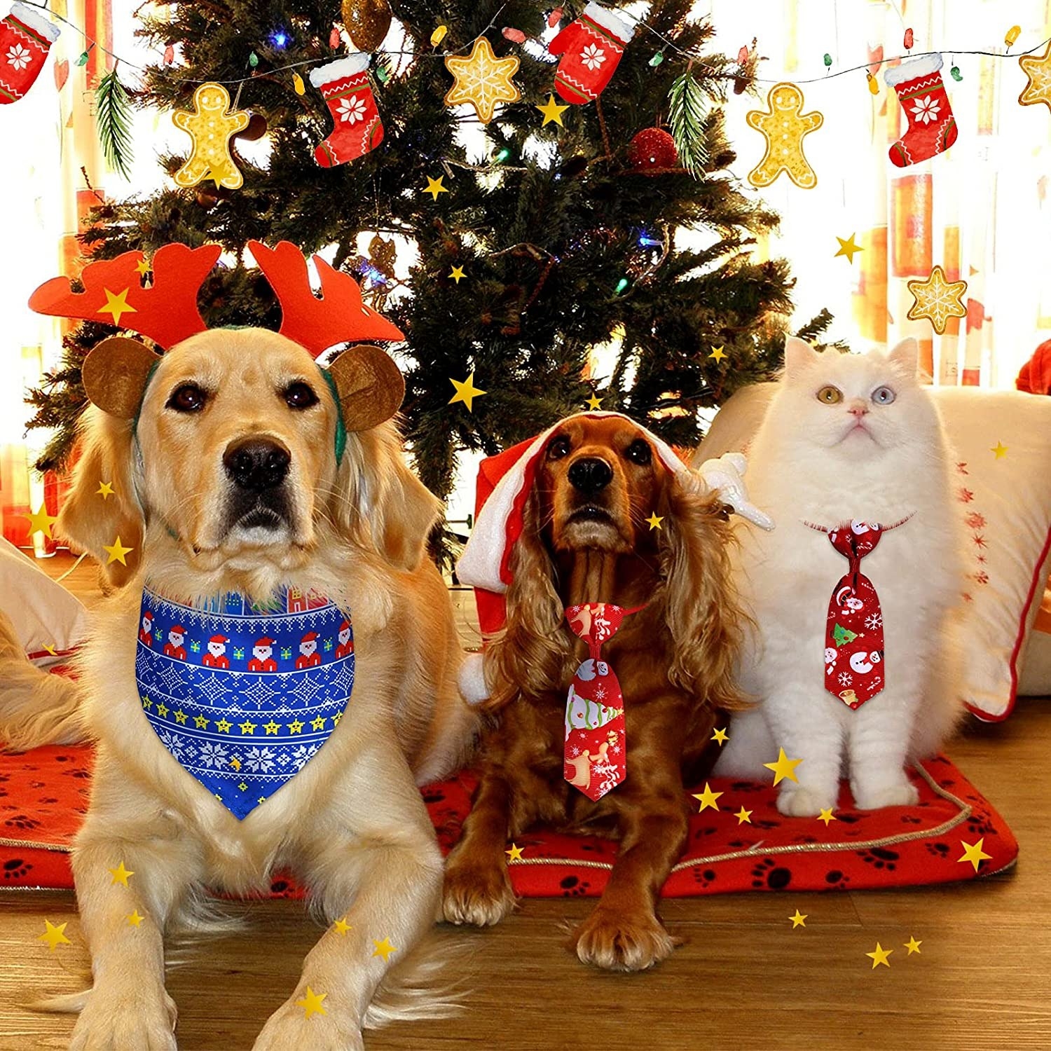 Two dogs and a cat wearing neckties and a holiday bandana