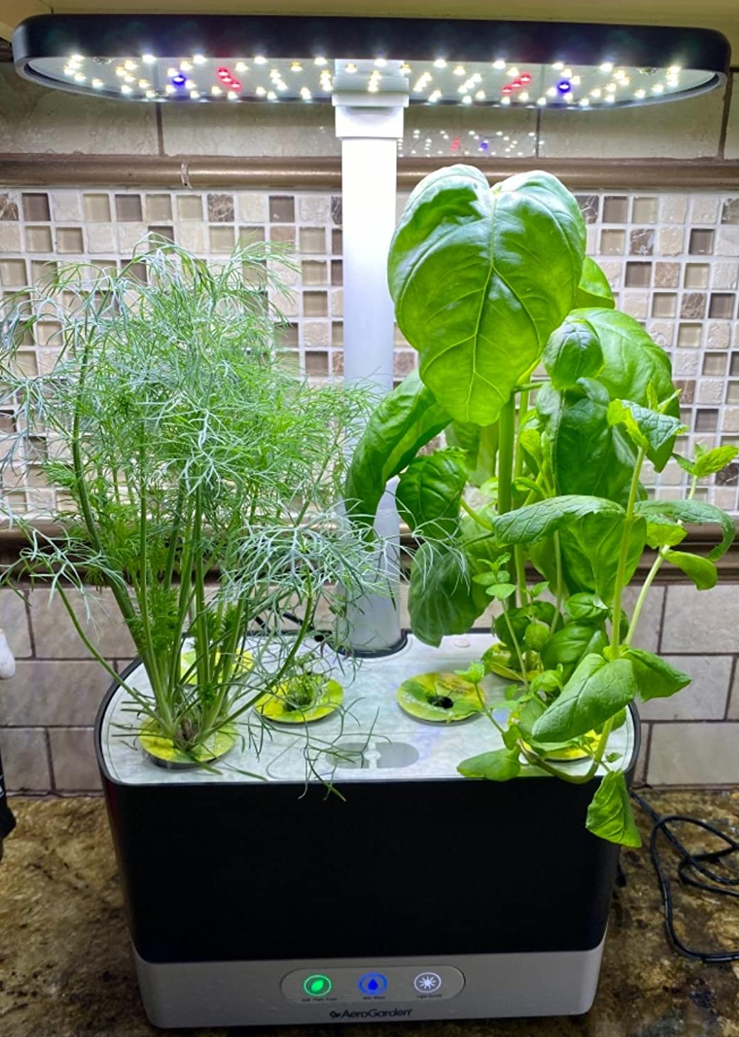 reviewer image of aerogarden on counter