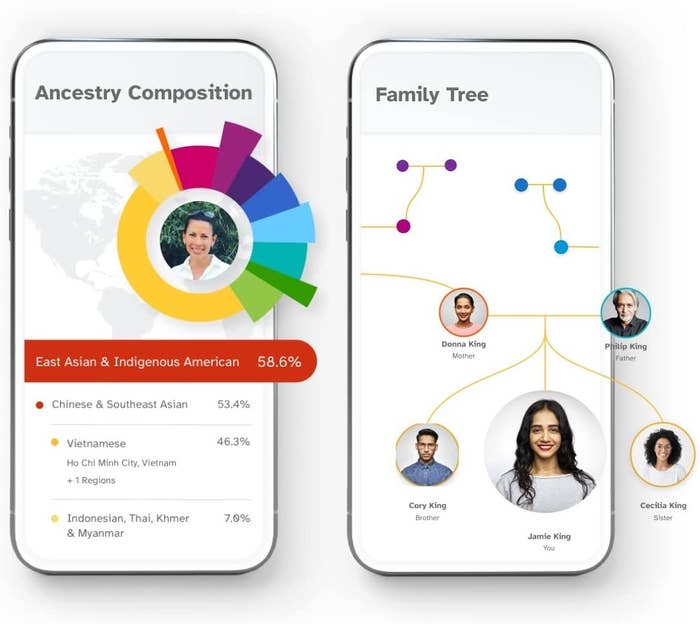 the app showing a person&#x27;s family tree and dna info