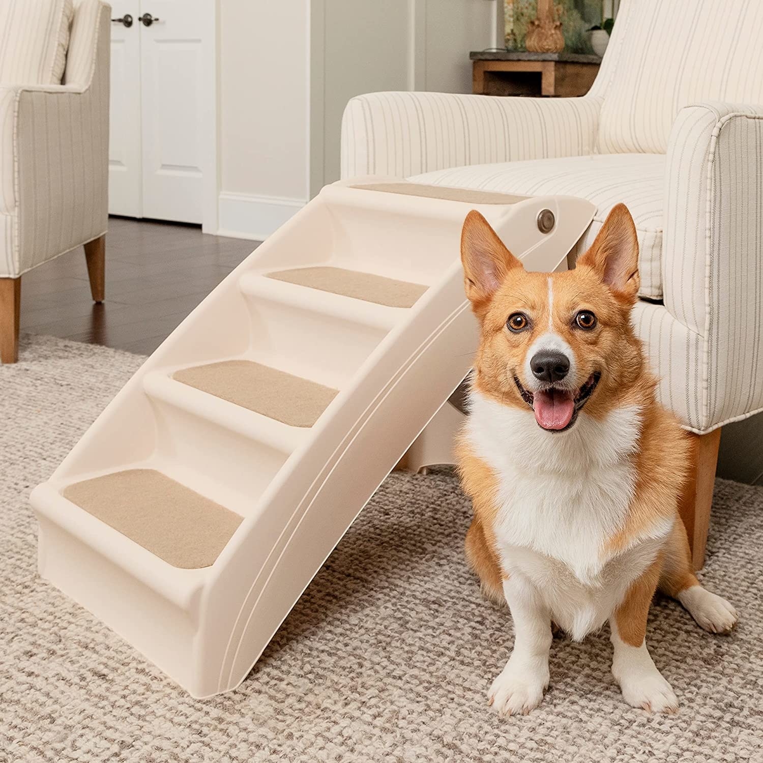 pet stairs going up to a couch beside of a corgi