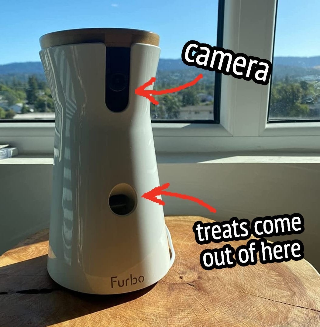 Image of the dog camera with arrows pointing to the camera and where treats come out of