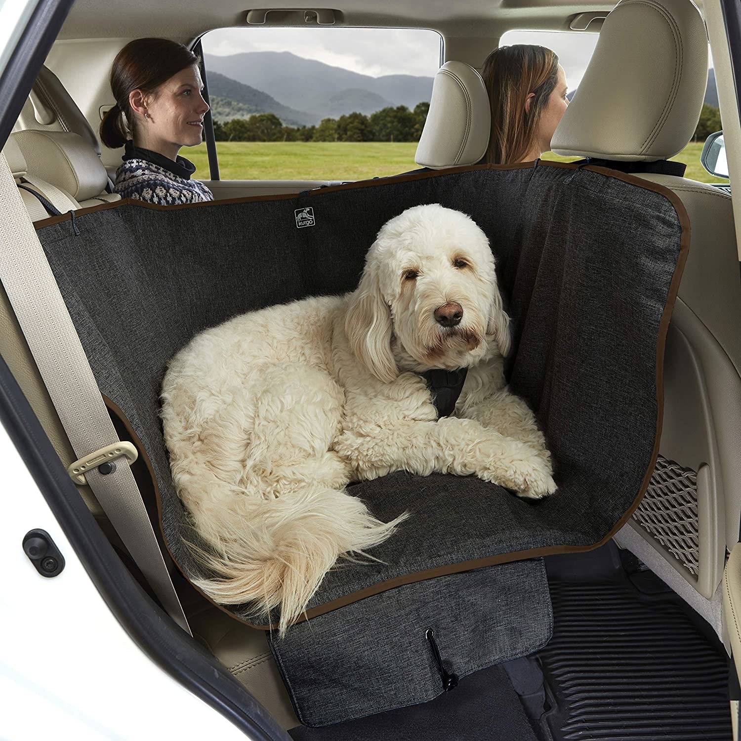 a dog in a car with a cover over the seat