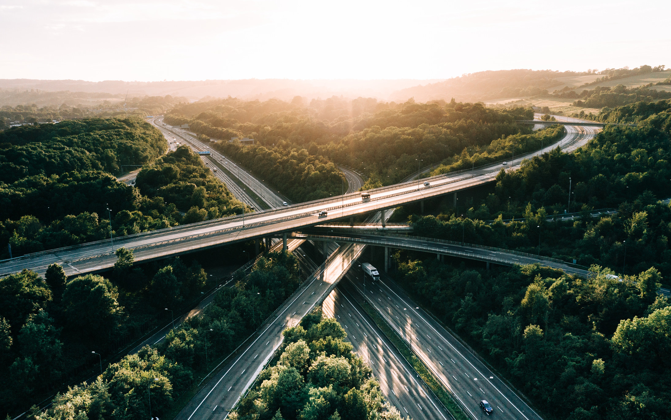 Motorway with large trees surrounding it