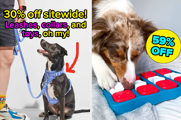 Black friday dog sales toys