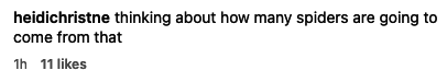 &quot;thinking about how many spiders are going to come from that&quot;