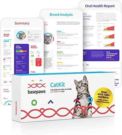A picture of a cat DNA test and various results