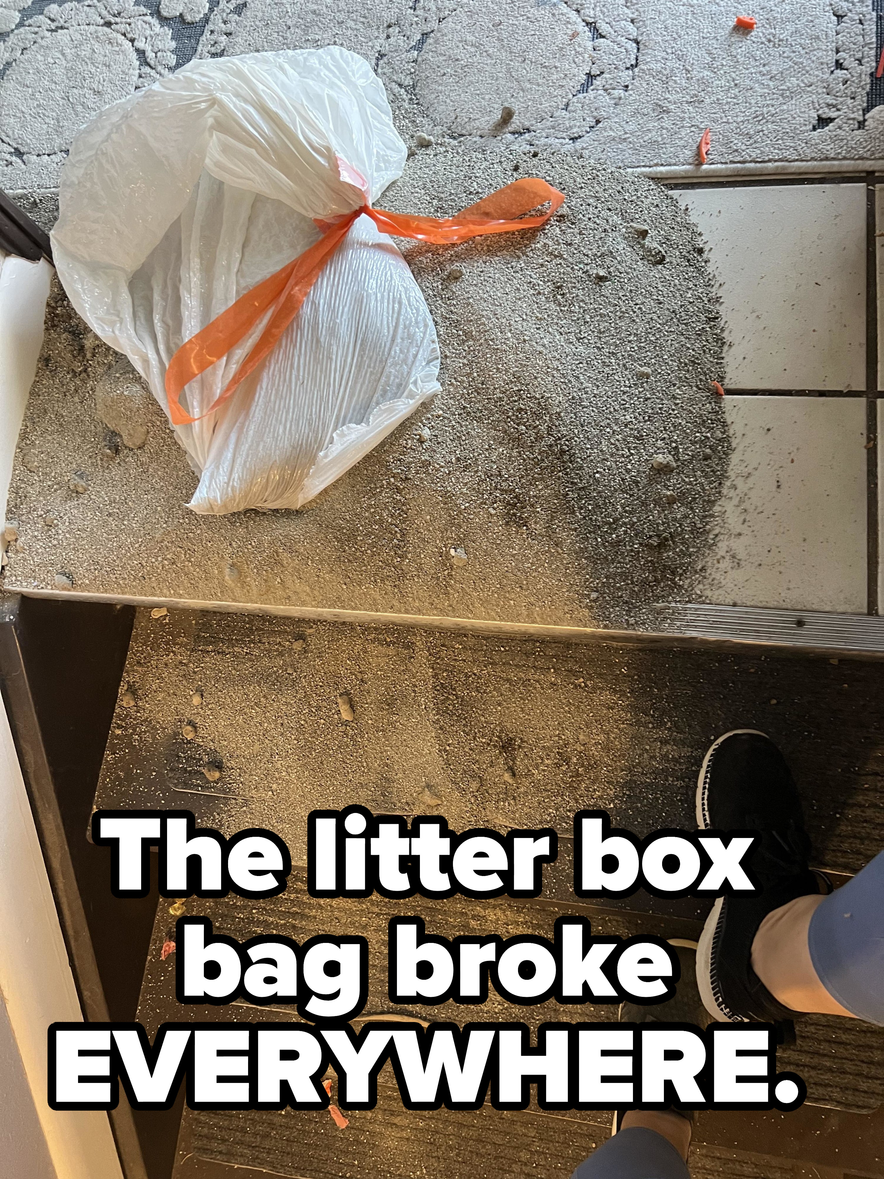 A flight of stairs with sand all over it, with the caption &quot;The litter box bag broke EVERYWHERE&quot;