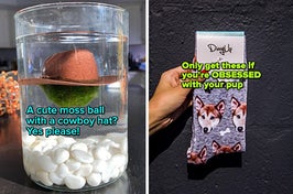 side by side photos of a ball of moss wearing a cowboy hat, and a model holding a pair of socks with a dog's face on them