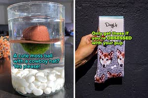 side by side photos of a ball of moss wearing a cowboy hat, and a model holding a pair of socks with a dog's face on them