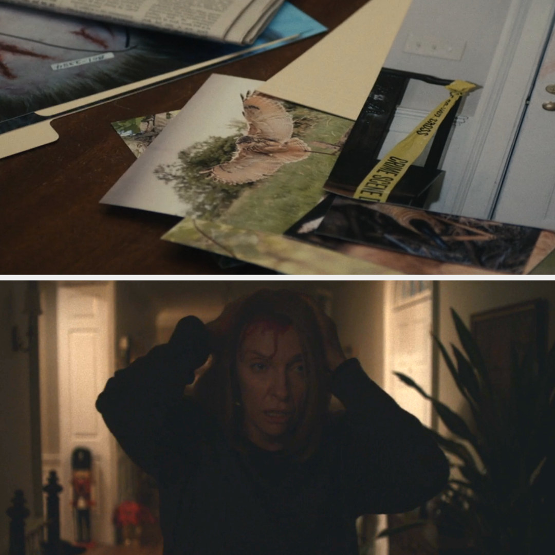 photos of a large owl on a table and Toni in a hallway with blood dripping from her forehead