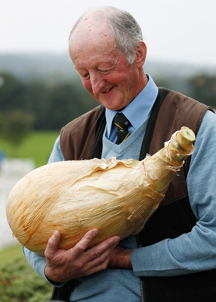 A smiling man holding an enormous yellow onion